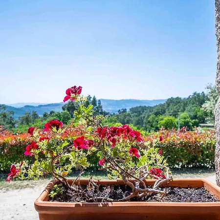 Casa vacanze Charming House With Shared Pool Vilar de Ferreiros
